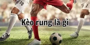 Kèo Rung Là Gì? Tìm Hiểu Chi Tiết Về Dạng Kèo Đặc Biệt Này 8 kèo rung là gì